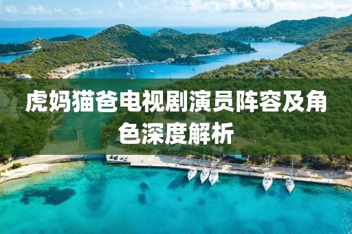 虎妈猫爸电视剧演员阵容及角色深度解析