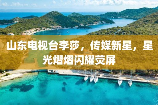 山东电视台李莎，传媒新星，星光熠熠闪耀荧屏