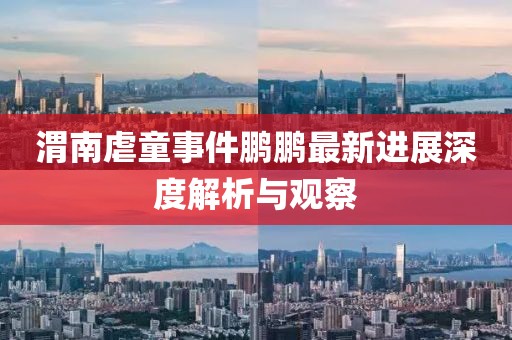 渭南虐童事件鹏鹏最新进展深度解析与观察