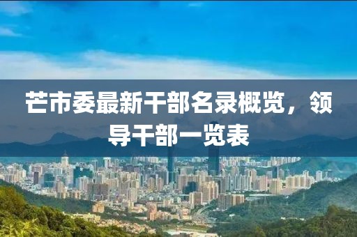 芒市委最新干部名录概览，领导干部一览表
