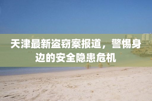 天津最新盗窃案报道，警惕身边的安全隐患危机