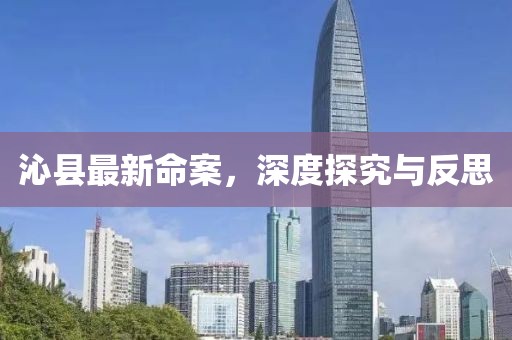 沁县最新命案，深度探究与反思