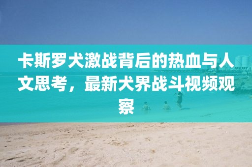 卡斯罗犬激战背后的热血与人文思考，最新犬界战斗视频观察