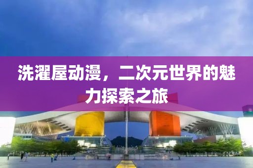 洗濯屋动漫，二次元世界的魅力探索之旅