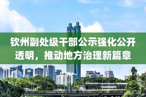 钦州副处级干部公示强化公开透明，推动地方治理新篇章