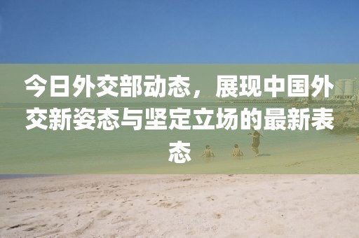 今日外交部动态，展现中国外交新姿态与坚定立场的最新表态