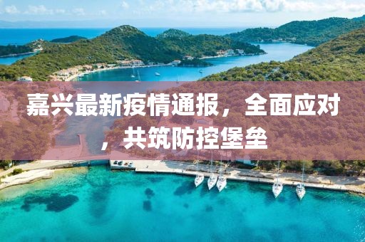 嘉兴最新疫情通报，全面应对，共筑防控堡垒