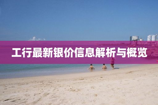 工行最新银价信息解析与概览