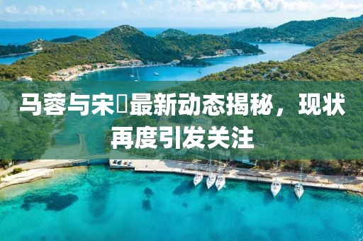 马蓉与宋喆最新动态揭秘，现状再度引发关注