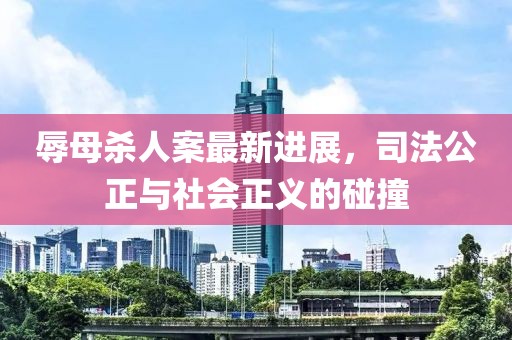 辱母杀人案最新进展，司法公正与社会正义的碰撞