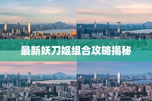 最新妖刀姬组合攻略揭秘