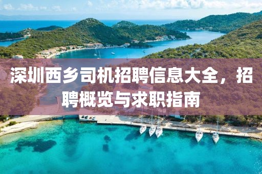 深圳西乡司机招聘信息大全，招聘概览与求职指南