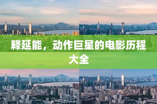 释延能，动作巨星的电影历程大全