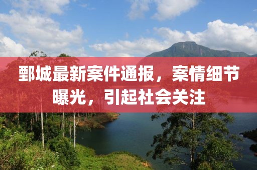 鄄城最新案件通报，案情细节曝光，引起社会关注