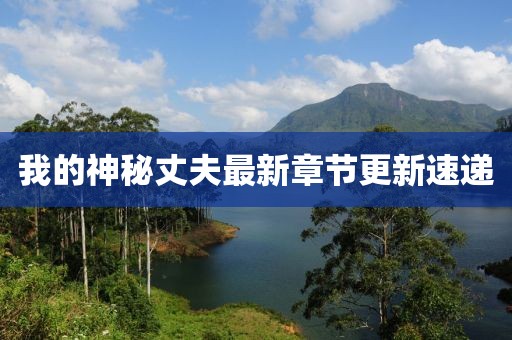 我的神秘丈夫最新章节更新速递