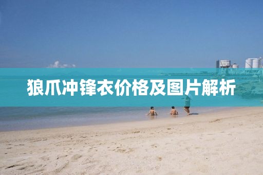 狼爪冲锋衣价格及图片解析