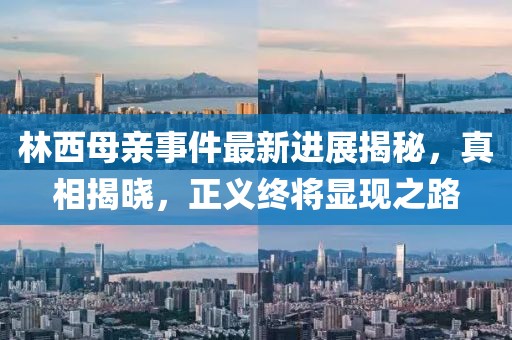 林西母亲事件最新进展揭秘，真相揭晓，正义终将显现之路