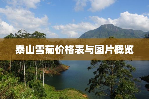 泰山雪茄价格表与图片概览