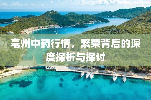 亳州中药行情，繁荣背后的深度探析与探讨