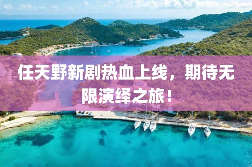 任天野新剧热血上线，期待无限演绎之旅！