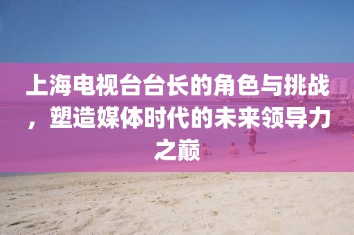 上海电视台台长的角色与挑战，塑造媒体时代的未来领导力之巅