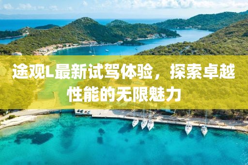 途观L最新试驾体验，探索卓越性能的无限魅力