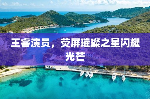 王睿演员，荧屏璀璨之星闪耀光芒