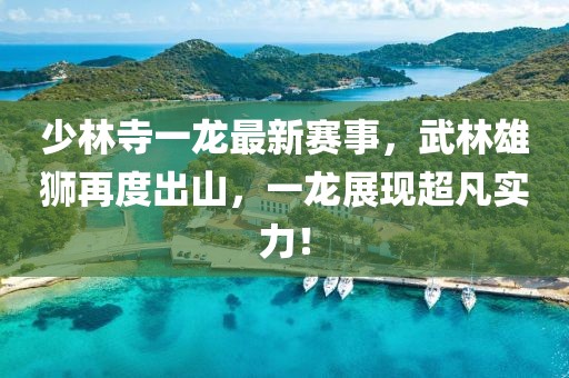 少林寺一龙最新赛事，武林雄狮再度出山，一龙展现超凡实力！