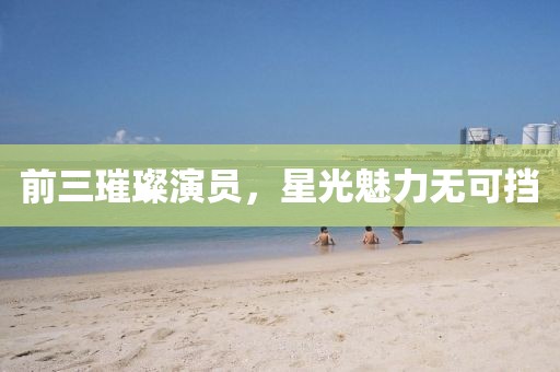 前三璀璨演员，星光魅力无可挡