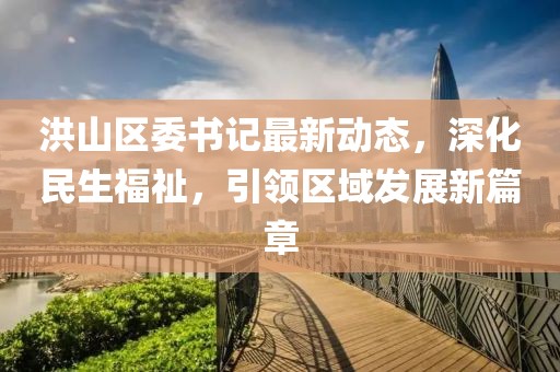 洪山区委书记最新动态，深化民生福祉，引领区域发展新篇章