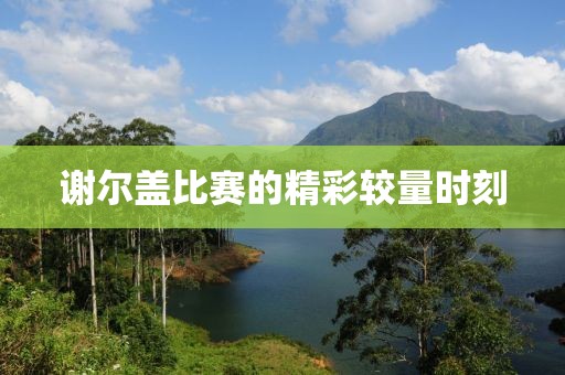 谢尔盖比赛的精彩较量时刻