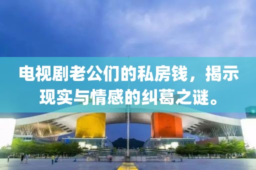 电视剧老公们的私房钱，揭示现实与情感的纠葛之谜。
