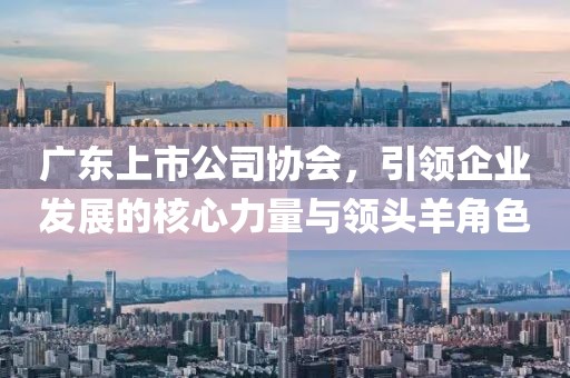 广东上市公司协会，引领企业发展的核心力量与领头羊角色