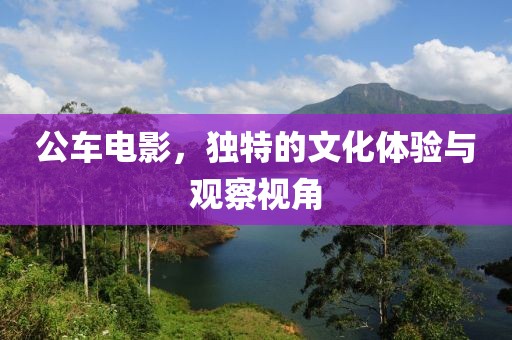 公车电影，独特的文化体验与观察视角