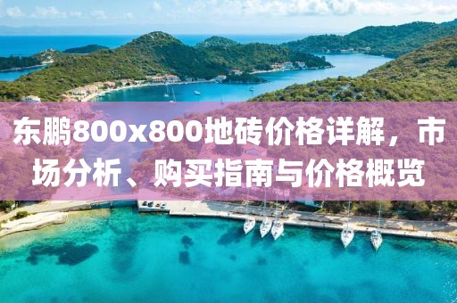 东鹏800x800地砖价格详解，市场分析、购买指南与价格概览