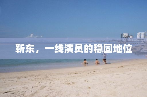 靳东，一线演员的稳固地位