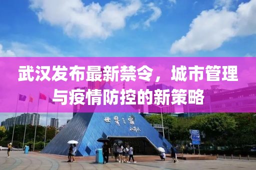 武汉发布最新禁令，城市管理与疫情防控的新策略