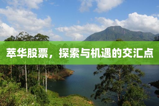 萃华股票，探索与机遇的交汇点