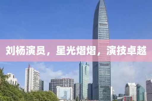 刘杨演员，星光熠熠，演技卓越