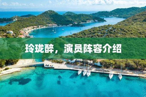 玲珑醉，演员阵容介绍
