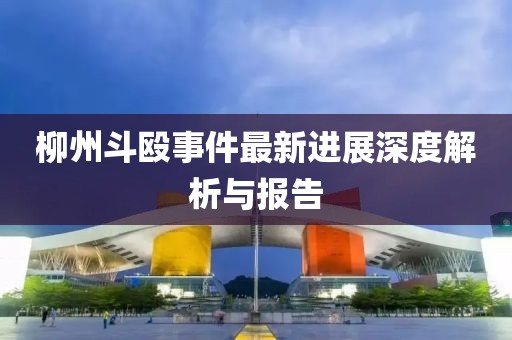 柳州斗殴事件最新进展深度解析与报告