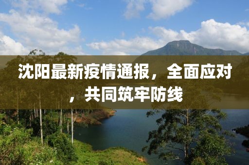 浅忆梦微凉 第20页