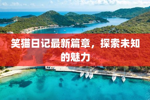 笑猫日记最新篇章，探索未知的魅力