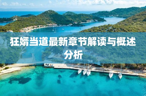 狂婿当道最新章节解读与概述分析