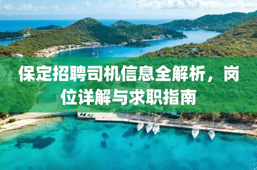 保定招聘司机信息全解析，岗位详解与求职指南