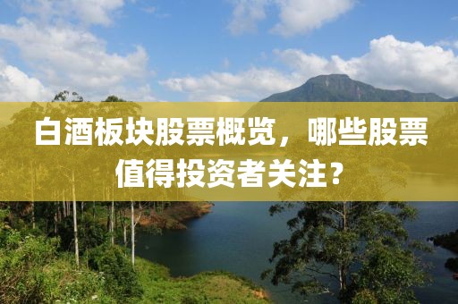 白酒板块股票概览，哪些股票值得投资者关注？