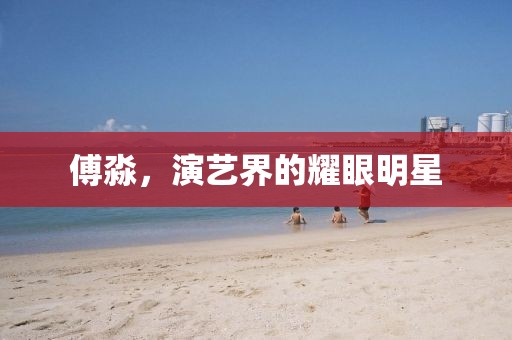 傅淼，演艺界的耀眼明星