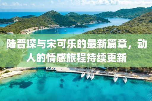 陆晋琛与宋可乐的最新篇章，动人的情感旅程持续更新