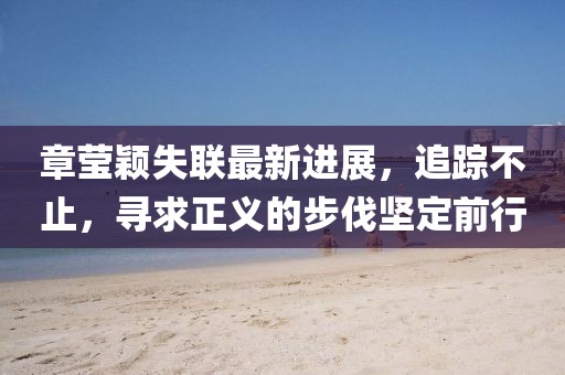 章莹颖失联最新进展，追踪不止，寻求正义的步伐坚定前行