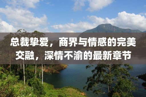 总裁挚爱，商界与情感的完美交融，深情不渝的最新章节